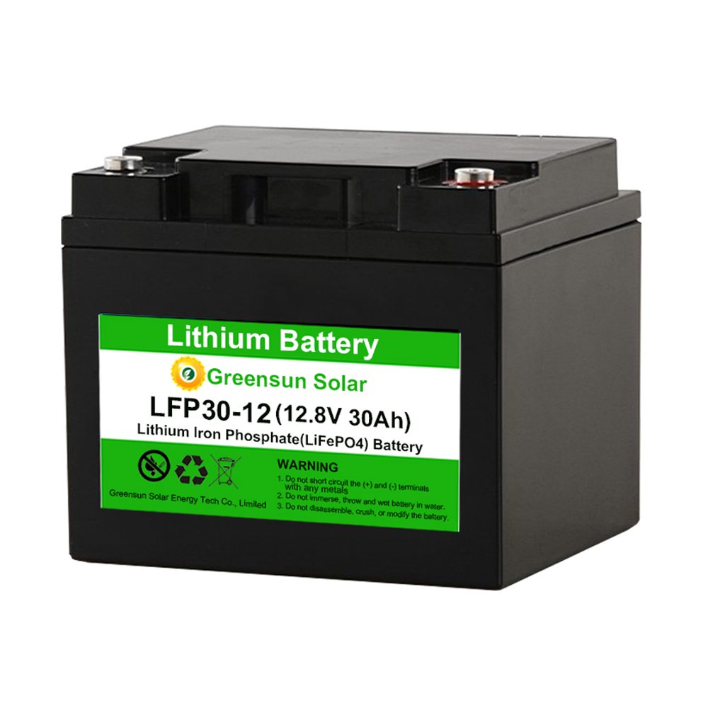 Batería Lifepo4 12v 30ah batería de hierro de litio
