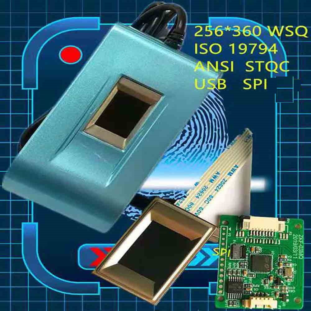 Lector biométrico de huellas dactilares USB capacitivo 500DPI WSQ ANSI ISO para autenticación