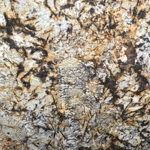 Piedra natural lujosa de la losa de la encimera del granito de la mariposa del oro para la sobremesa
