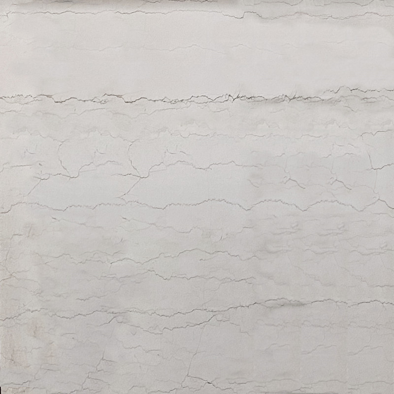 Losas pulidas de mármol beige de Italia Bianco Perlino
