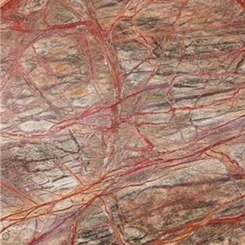 Losa de mármol marrón-rojo de la selva tropical de la India
