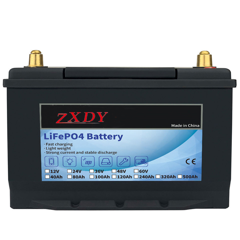 Batería Lifepo4 24v 40ah 60ah 80ah 100ah batería de iones de litio para ev ups agv
